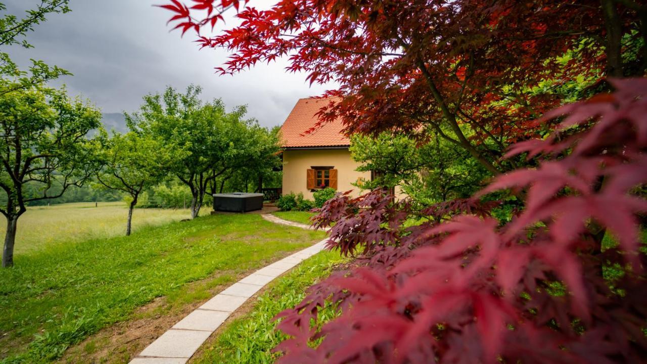 House Sofia *